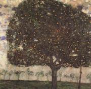 Gustav Klimt, Apple Tree II (mk20)